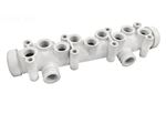 Picture of Main Manifold Assembly Pentair Minimax CH 471993