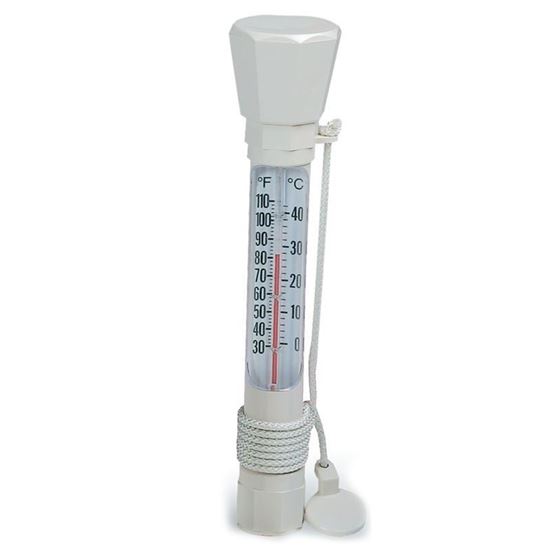 Picture of E-Z Read Combo #136 Floating Thermometer R141200