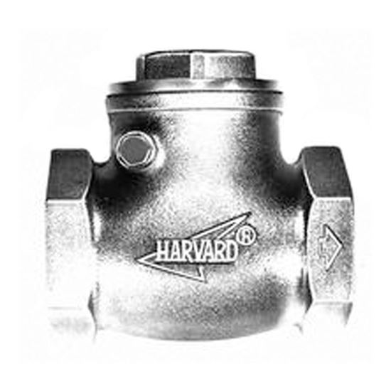 Picture of 	2 IN. BRASS CHECK VALVE hscv200t