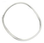 Picture of Gasket Pentair Vac-Mate Basket 7-1/4"ID 8-1/4"OD R36002