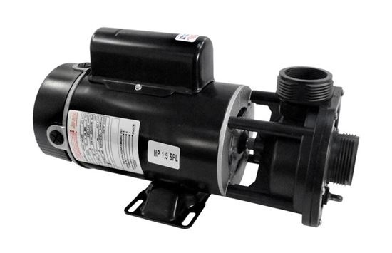 Picture of Pump E-Series 1.5SPL, 115v 2-Spd 48fr 1-1/2" OEM 342061015