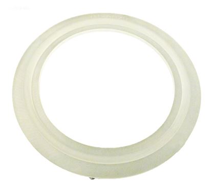 Picture of Gasket/O-Ring 2-1/2" Pump Union/Heater 7116020