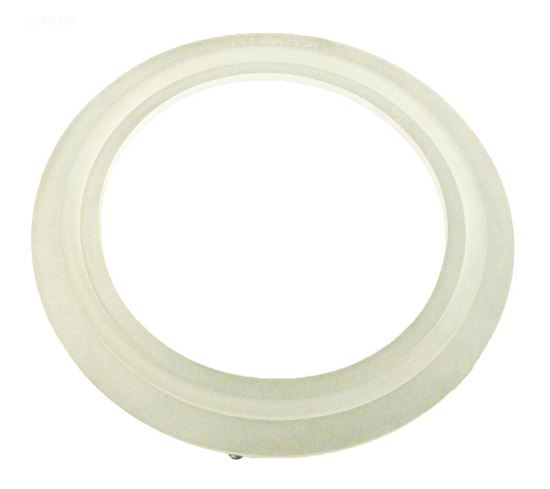 Picture of Gasket/O-Ring 2-1/2" Pump Union/Heater 7116020