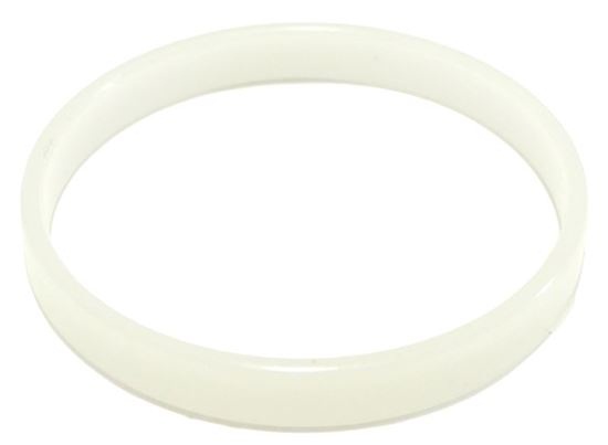Picture of Retaining Ring Cleaners Diaphragm W81600