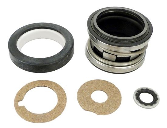 Picture of Shaft Seal 5Hp Starite C/CC/D Series U109433Ss