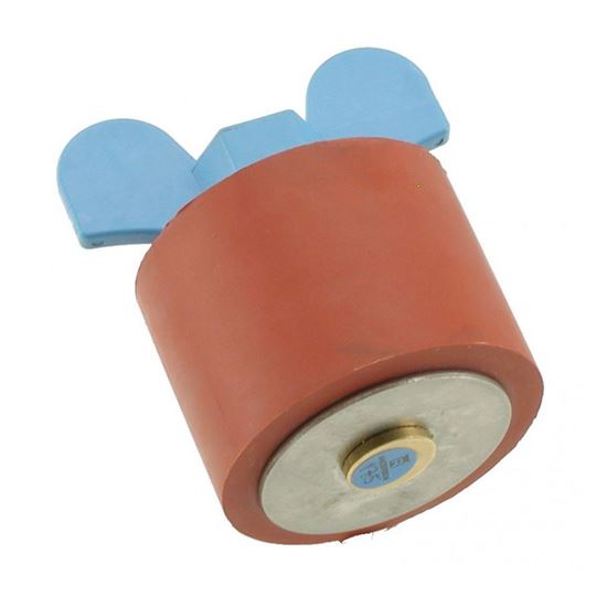 Picture of Anderson 2-1/2" Standard Closed Plug For 2-1/2" Threads And175