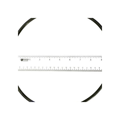 Picture of Lid O-Ring Pro Clean Filter 8050448