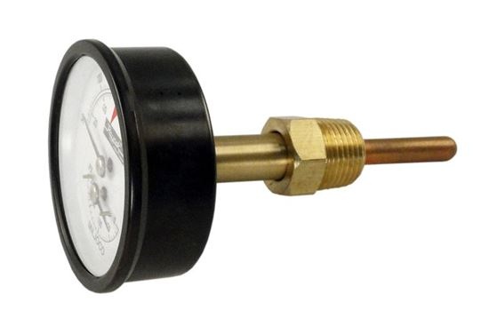 Picture of Temperature & Pressure Gauge Kit Raypak 007399F