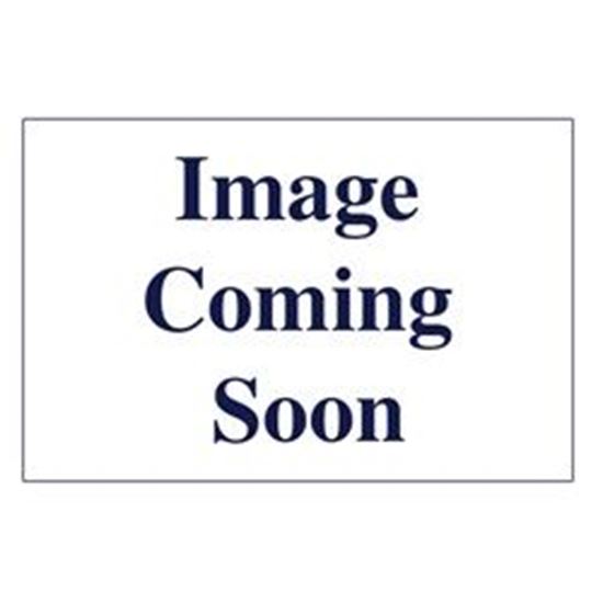 Picture of Body Assembly, Jet, Waterway Threaded Power Storm, 3/4" 228-0020