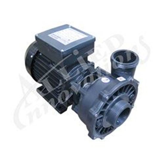 Picture of Pump:  2.5Hp 240V 50Hz 2-Speed 56 Frame Executive Euro 3R210500D