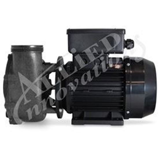 Picture of Pump: 2.5Hp 240V 50Hz 1-Speed 56 Frame Flo-Master Xp2E Euro