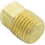 Picture of Drain Plug Pentair C-Series 1/4" 071551