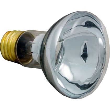 Picture of Blub Floodlamp, Medium Base, 100W 12V 79108100
