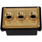 Picture of Light Junction Box Pentair  (3) 3/4" Ports Brass Base 78310600