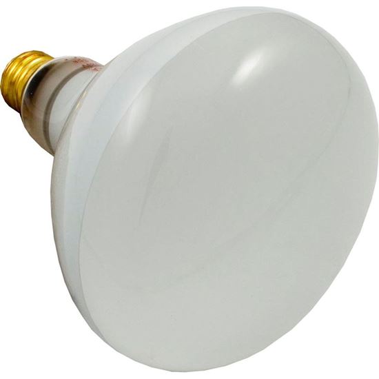 Picture of Bulb 500Watt 120V Floodlamp 79102100