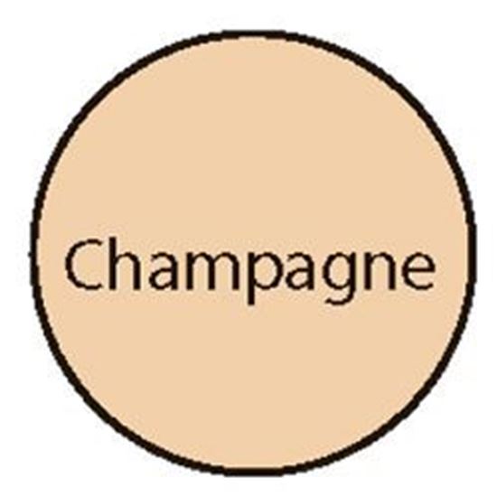 Picture of 5 Gal Patio Tone Champagne Pt469W5