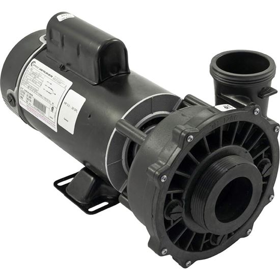 Picture of Pump Executive 48 3.0HP, 230V 2-Speed, 2-1/2" x 2"MBT 48-Frame 342122113