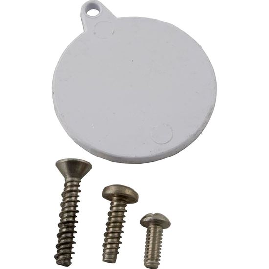 Picture of Skimmer Screw Kit Pentair/American Products FAS Extra Long 85009800