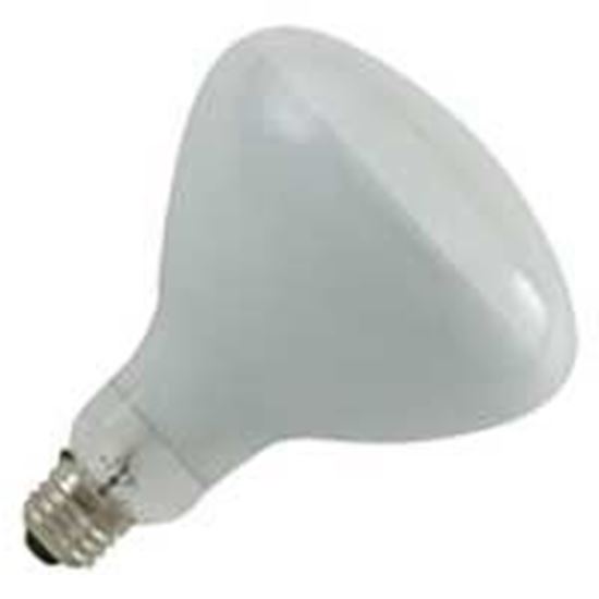 Picture of Replacement Bulb 300 Watt 12V Floodlamp 79101900