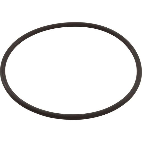 Picture of Strainer Lid O-Ring Ultra-Flo 39300600