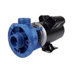 Picture of 1.5 Hp Gecko Aqua-Flo Fmcp Spa Pump 2 Speed 115V 02615000-1010