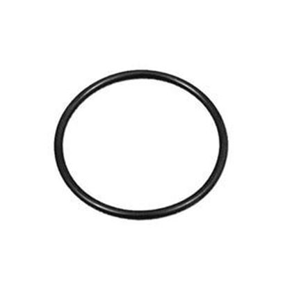 Picture of Magic Plastics Heater O-Ring 0301-229