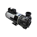 Picture of 4 Hp Gecko Aqua-Flo Fmxp2E Spa Pump 2 Speed 230V 05340011-5040