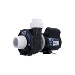 Picture of 1 Hp Gecko Aqua-Flo Fmxp2 Spa Pump 2 Speed 115V 06610006-2040