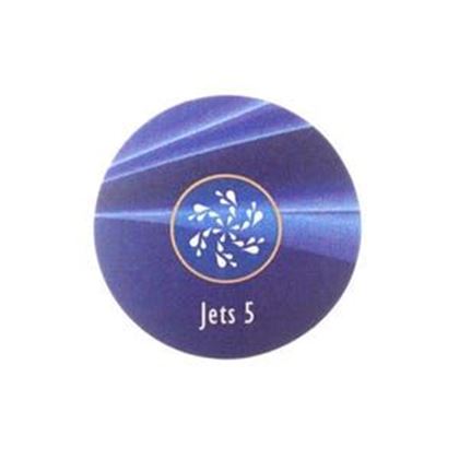 Picture of 1 Button Balboa Ax10 Keypad Overlay 12106