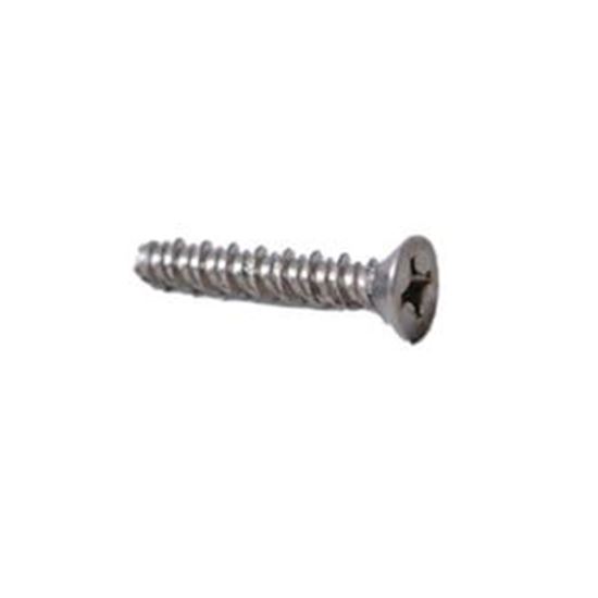 Picture of Screw, Rainbow, 172474