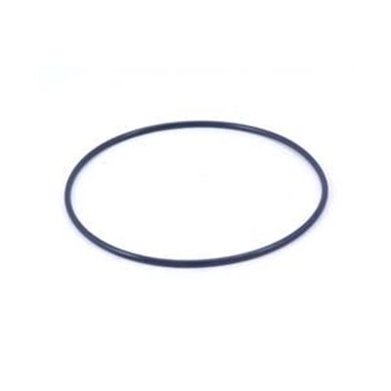 Picture of O-Ring, Filter Lid, Sonfa 205-106