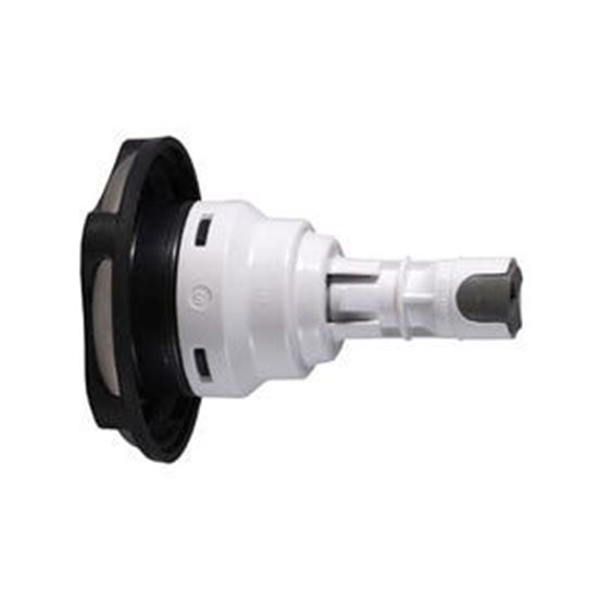 Picture of Jet Internal, Waterway Poly Storm, Gunite, Dual R 212-3271-DSGSG