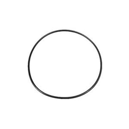Picture of Waterway Hi-Flo O-Ring 256Bn70