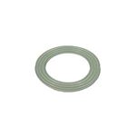 Picture of Gasket, Flat, Suction Fitting, G&G, Vgb, 2-3/8"Hole Siz 30115-V