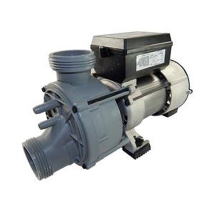 Picture of Waterway Genesis Bath Pump 321Ff10-1150