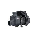 Picture of Pump Genesis, 1.0HP, 115V, 9.0 Amps, 1-Speed, 1-1/2"MBT w/Air Switch 321JF10-0150