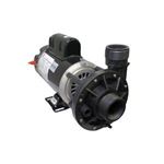 Picture of Pump Spa-Flo, 1.5HP, 115V, 13.3/4.1 Amp, 2-Speed, 1-1/2"MBT, 48-Frame 3420610-S0Z