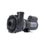 Picture of Pump Executive 48, 1.5HP, 230V, 8.0/2.6A, 2-Speed, 2"MBT, SD, 48-Frame, 8.0/2.6Amp 3420620-1A