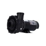 Picture of 2 Hp Waterway Executive Spa Pump 2 Speed 230V 3420820-1A