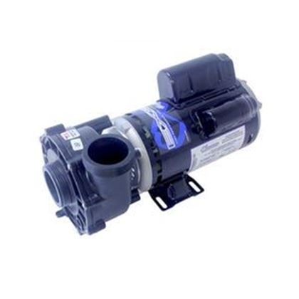 Picture of 2.5 Hp Waterway Ex2 Spa Pump 2 Speed 230V 3421020-1U