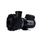 Picture of 3 Hp Waterway Executive Spa Pump 2 Speed 230V 3421221-1A