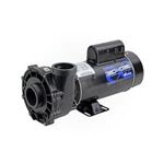 Picture of Pump EX2, 2.0HP, 230V, 8.5/2.8A, 2-Speed, 2"MBT, SD, 48-Frame 3421221-1U