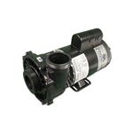 Picture of 4 Hp Waterway Executive Spa Pump 1 Speed 230V 3711621-13