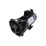 Picture of 2 Hp Waterway Executive Spa Pump 2 Speed 230V 3720821-13