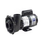 Picture of 3 Hp Waterway Executive Spa Pump 2 Speed 230V 3721221-13