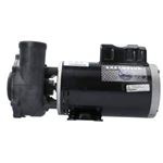 Picture of 5 Hp Waterway Executive Spa Pump 2 Speed 230V 3722021-13