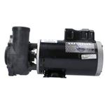 Picture of Pump Waterway Executive 56 5.0Hp 230V 2-Speed 2-1/ 3722021-13