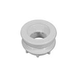 Picture of Wall Fitting Filter Waterway 2"Fpt W/Gasket & Lock R 400-9130