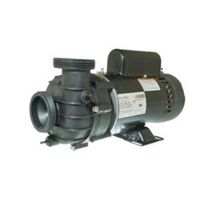 Picture of 1.5 Hp Balboa Djayfa Spa Pump 2 Speed 115V 4239113-S