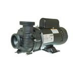 Picture of 2 Hp Balboa Djaygb Spa Pump 2 Speed 230V 4239208-S